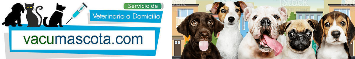 veterinario a domicilio vacunacion perros y gatos Madrid