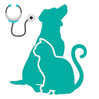 consulta veterinaria
