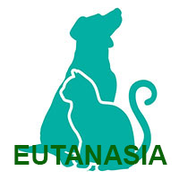 eutanasia domicilio mascotas perros y gatos