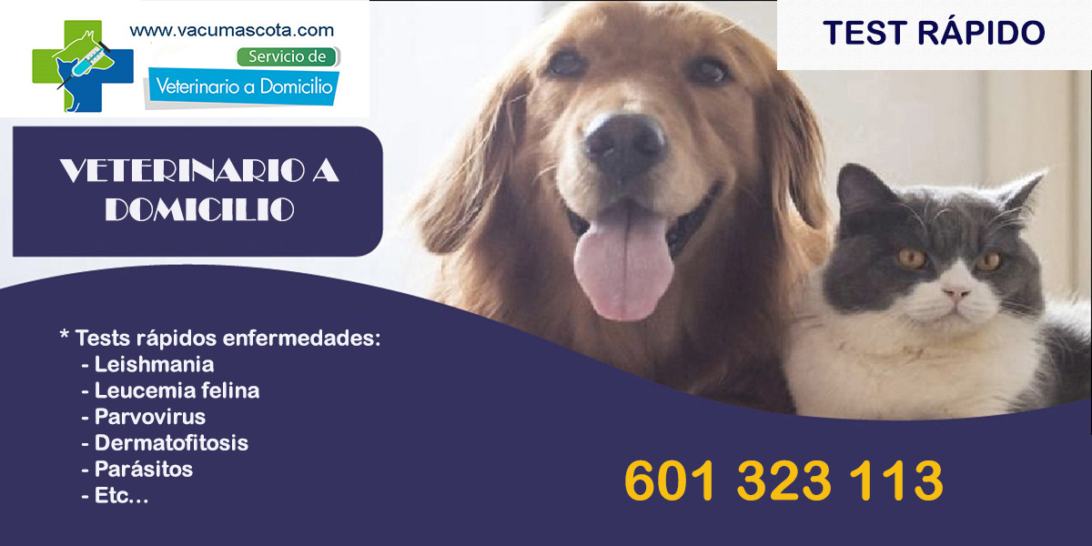 tests rapidos diagnostico veterinario Madrid