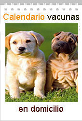 calendario vacunacion perros
