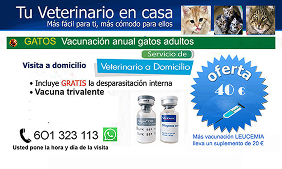Veterinario a domicilio vacunacion gatos en Madrid