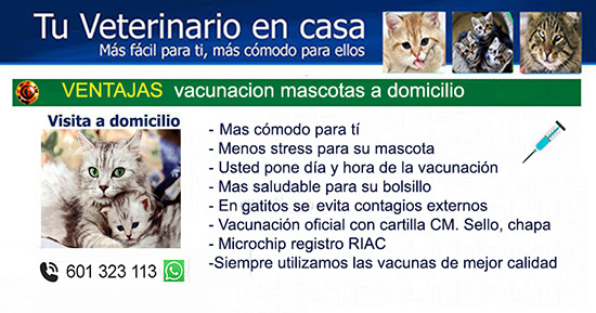 Ventajas vacunacion gatos a domicilio Madrid