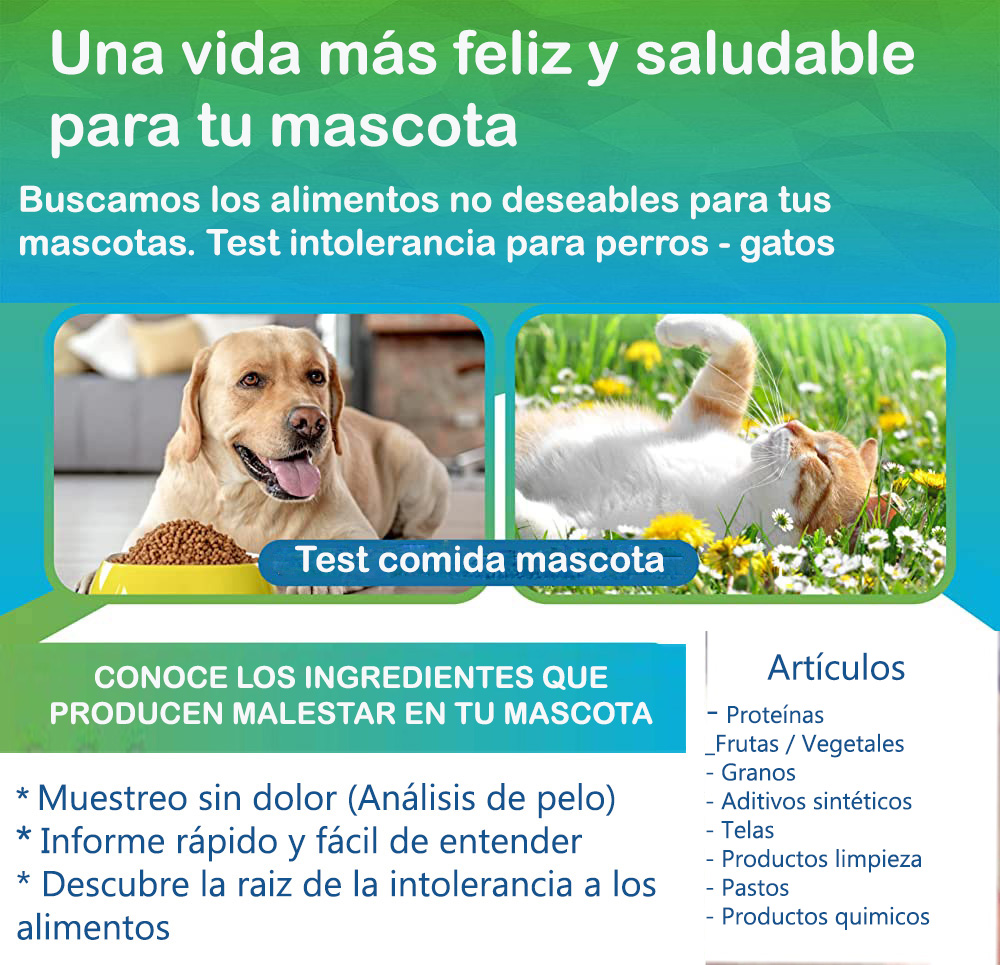 consulta a domicilio veterinario intolerancia alimentaria en perros y gatos