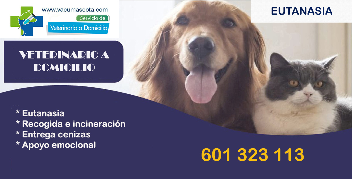 eutanasia mascotas a domicilio. Veterinario profesional servicio de utanasia a domicilio Madrid. 