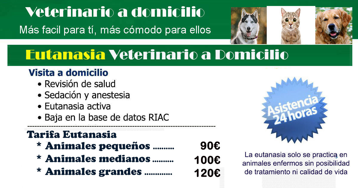 veterinario a domicilio eutanasia precios mascotas