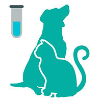 tests rapido diagnostico veterinario a domicilio tarifas