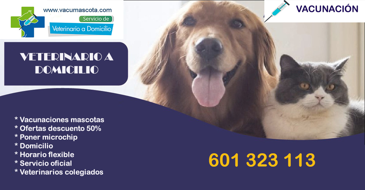 veterinario vacunacion mascotas a domicilio Madrid