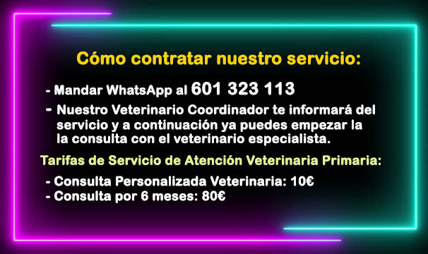 servicio de asistencia veterinaria primaria por whatsapp