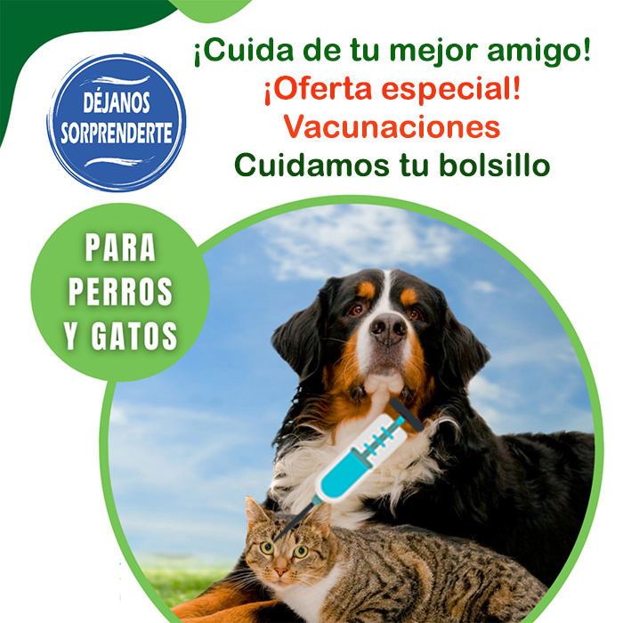 veterinario a domicilio vacunacion perros y gatos distrito Canillejas