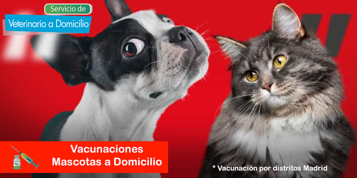 veterinario a domicilio vacunacion mascotas distrito Arganzuela Madrid