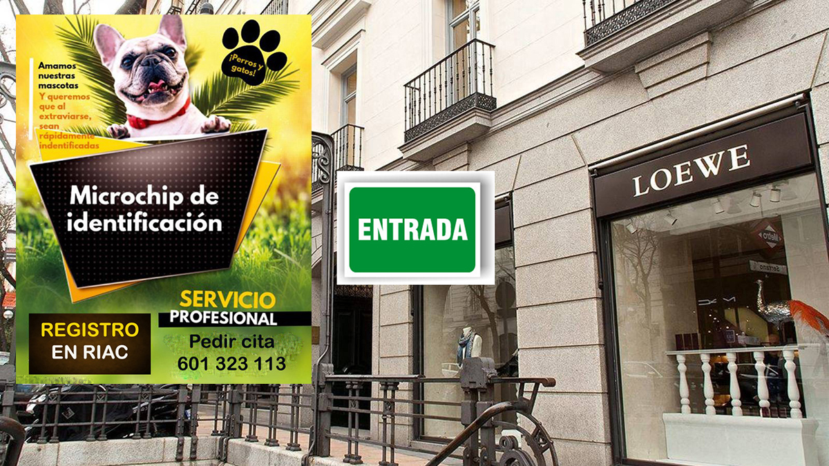 veterinario a domicilio vacunacion perros y matos barrio Salamanca Madrid