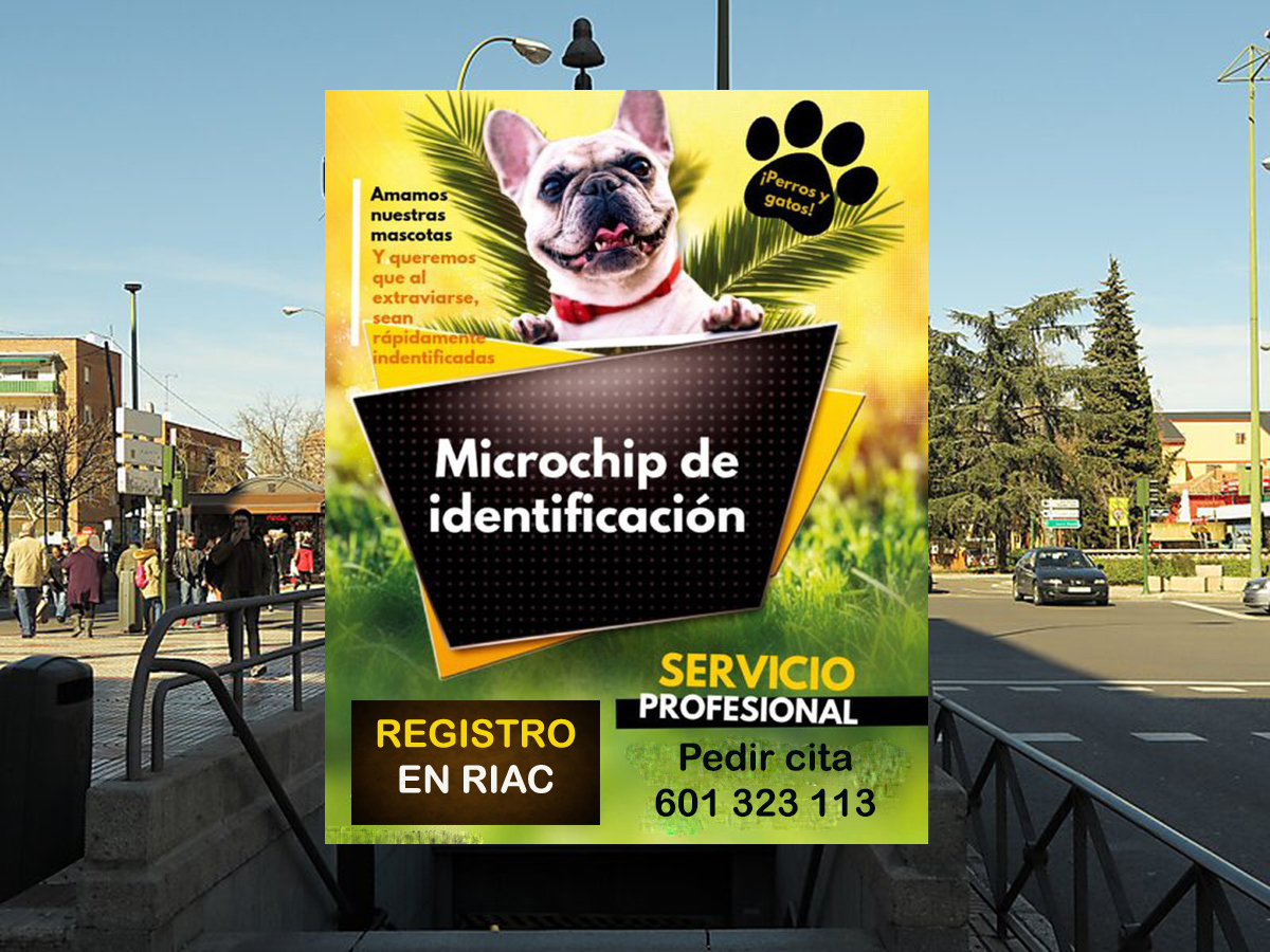 veterinario a domicilio poner microchip mascotas en Madrid Ciudad lineal