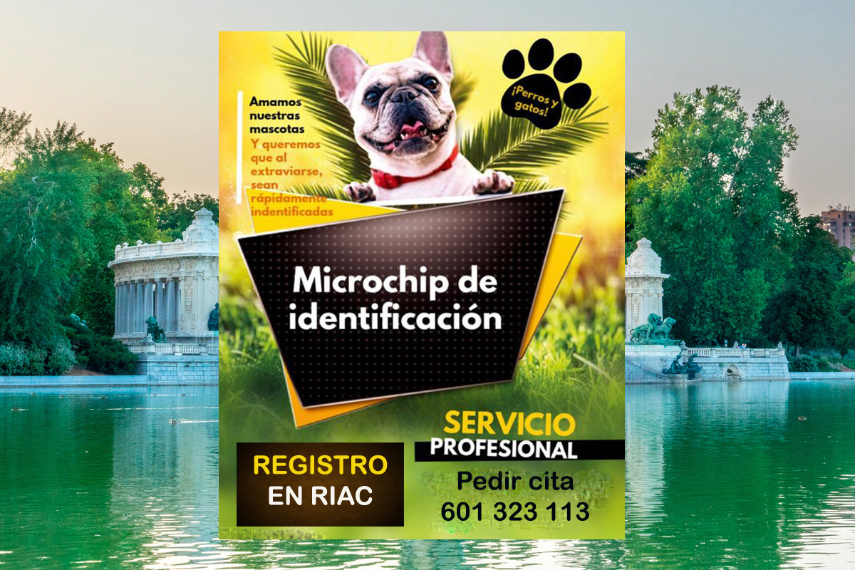 veterinario a domicilio poner michochip mascotas Madrid distrito Retiro