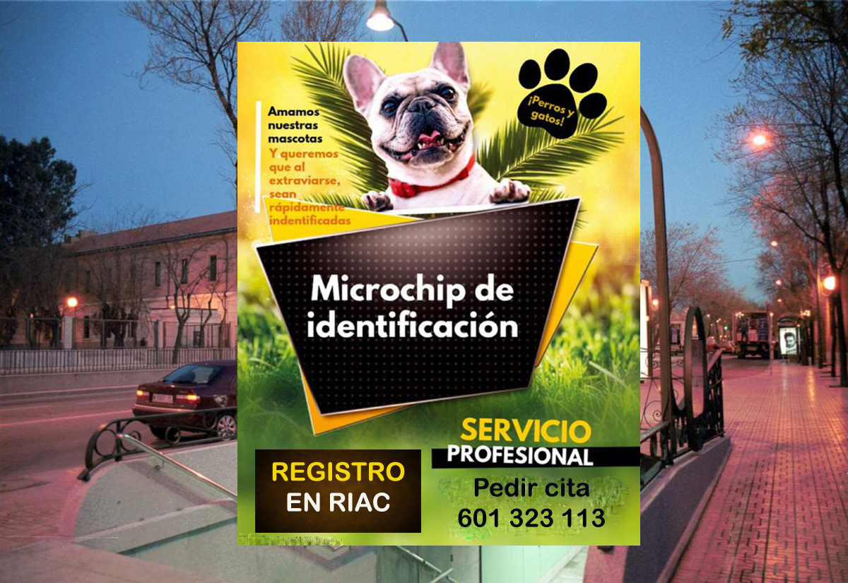 veterinario a domicilio vacunacion mascotas en madrid vicalvaro 