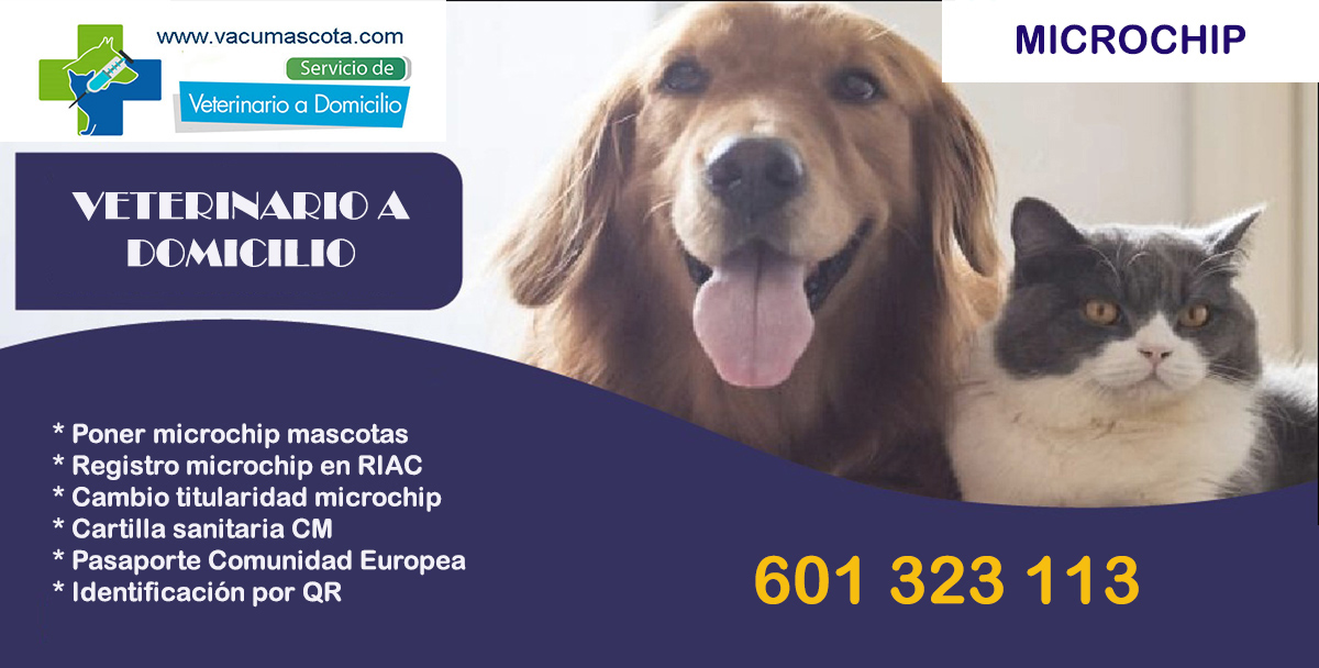 veterinario a domicilio poner microchip a mascotas Madrid Vicalvaro