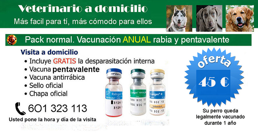 veterinario a domicilio vacunacion perros rabia y pentavalente
